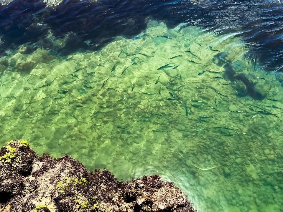 Villa Flecheiras Εξωτερικό φωτογραφία